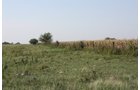 Property photo 71 - Land Auction - 480 Acres in 10 Tracts, Native Grassland, Tillable Cropland