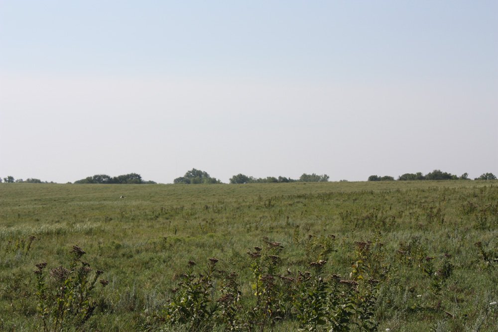 Property photo 42 - Land Auction - 480 Acres in 10 Tracts, Native Grassland, Tillable Cropland