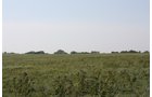 Property photo 42 - Land Auction - 480 Acres in 10 Tracts, Native Grassland, Tillable Cropland