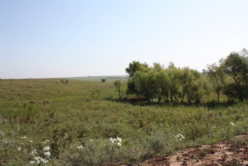 Property photo 59 - Land Auction - 480 Acres in 10 Tracts, Native Grassland, Tillable Cropland