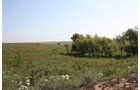 Property photo 59 - Land Auction - 480 Acres in 10 Tracts, Native Grassland, Tillable Cropland