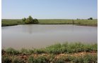 Property photo 74 - Land Auction - 480 Acres in 10 Tracts, Native Grassland, Tillable Cropland