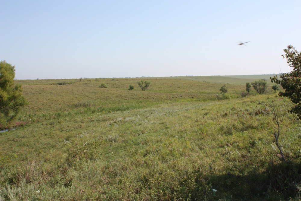 Property photo 55 - Land Auction - 480 Acres in 10 Tracts, Native Grassland, Tillable Cropland