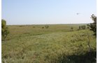 Property photo 55 - Land Auction - 480 Acres in 10 Tracts, Native Grassland, Tillable Cropland