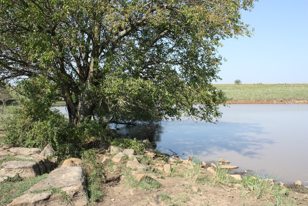 Property photo 57 - Land Auction - 480 Acres in 10 Tracts, Native Grassland, Tillable Cropland