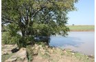 Property photo 57 - Land Auction - 480 Acres in 10 Tracts, Native Grassland, Tillable Cropland