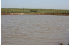 Property photo 13 - Land Auction - 480 Acres in 10 Tracts, Native Grassland, Tillable Cropland