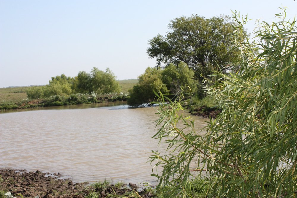 Property photo 7 - Land Auction - 480 Acres in 10 Tracts, Native Grassland, Tillable Cropland