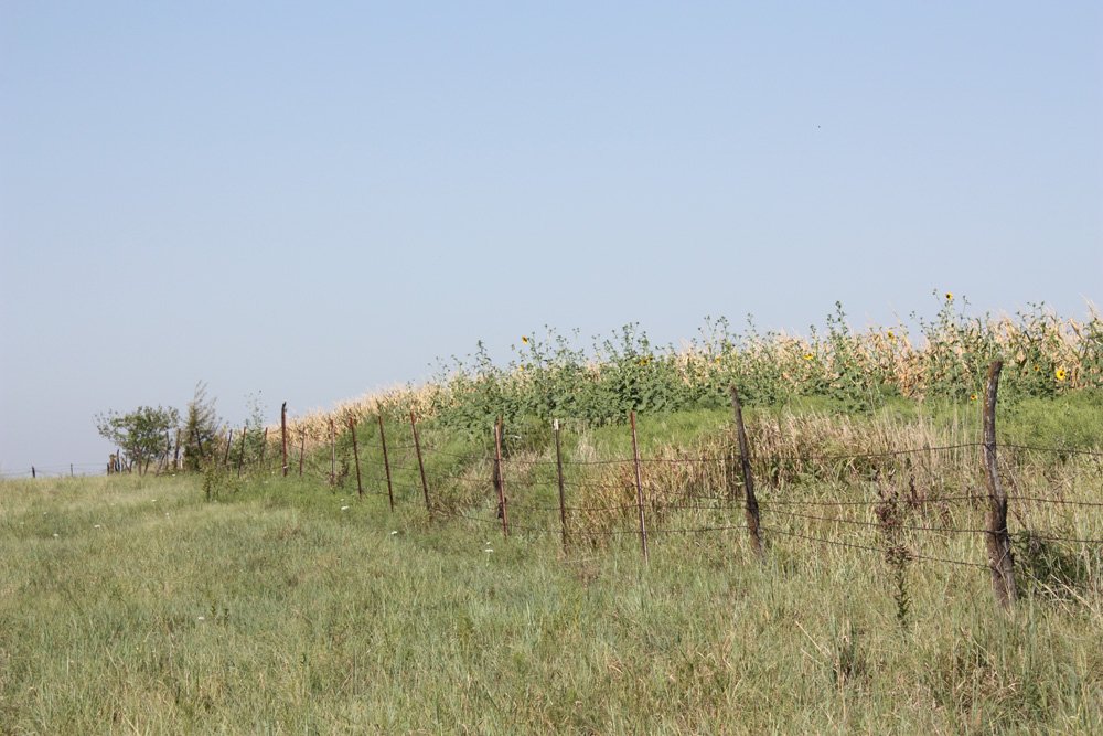 Property photo 38 - Land Auction - 480 Acres in 10 Tracts, Native Grassland, Tillable Cropland
