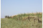 Property photo 38 - Land Auction - 480 Acres in 10 Tracts, Native Grassland, Tillable Cropland