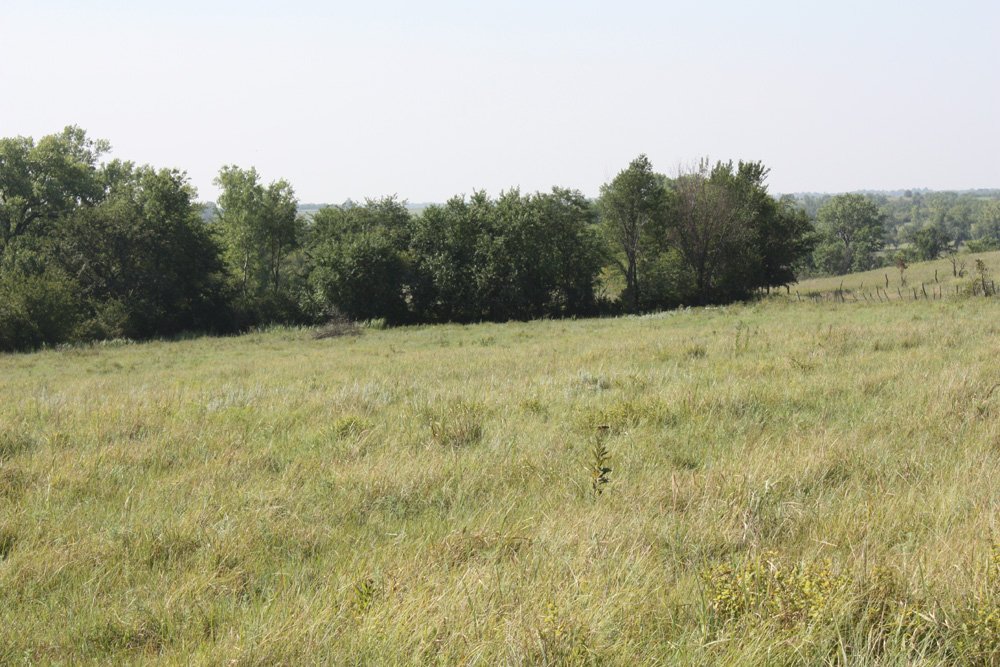Property photo 5 - Land Auction - 480 Acres in 10 Tracts, Native Grassland, Tillable Cropland