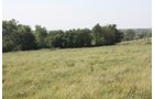 Property photo 5 - Land Auction - 480 Acres in 10 Tracts, Native Grassland, Tillable Cropland