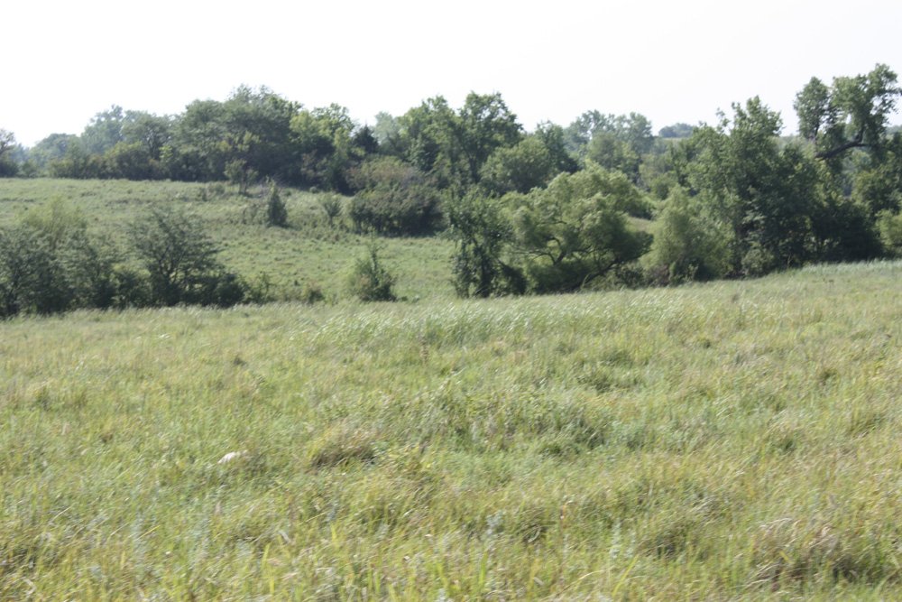 Property photo 6 - Land Auction - 480 Acres in 10 Tracts, Native Grassland, Tillable Cropland