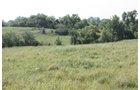 Property photo 6 - Land Auction - 480 Acres in 10 Tracts, Native Grassland, Tillable Cropland