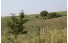 Property photo 65 - Land Auction - 480 Acres in 10 Tracts, Native Grassland, Tillable Cropland