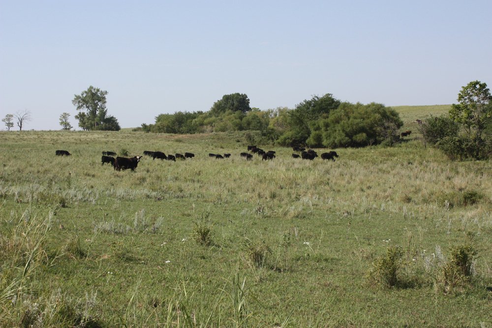 Property photo 34 - Land Auction - 480 Acres in 10 Tracts, Native Grassland, Tillable Cropland