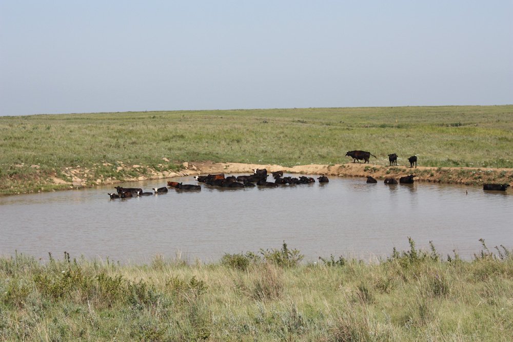 Property photo 4 - Land Auction - 480 Acres in 10 Tracts, Native Grassland, Tillable Cropland