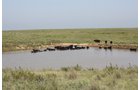 Property photo 4 - Land Auction - 480 Acres in 10 Tracts, Native Grassland, Tillable Cropland