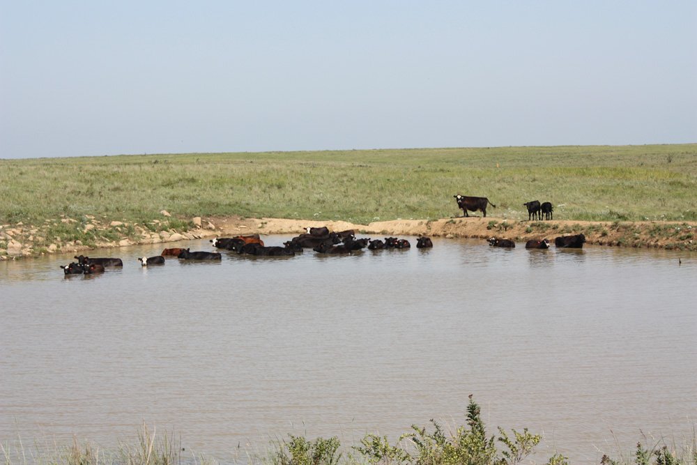 Property photo 77 - Land Auction - 480 Acres in 10 Tracts, Native Grassland, Tillable Cropland