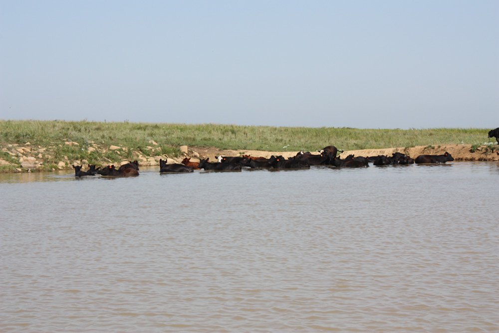 Property photo 56 - Land Auction - 480 Acres in 10 Tracts, Native Grassland, Tillable Cropland