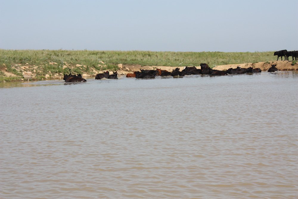 Property photo 49 - Land Auction - 480 Acres in 10 Tracts, Native Grassland, Tillable Cropland