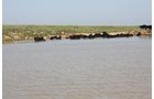 Property photo 49 - Land Auction - 480 Acres in 10 Tracts, Native Grassland, Tillable Cropland