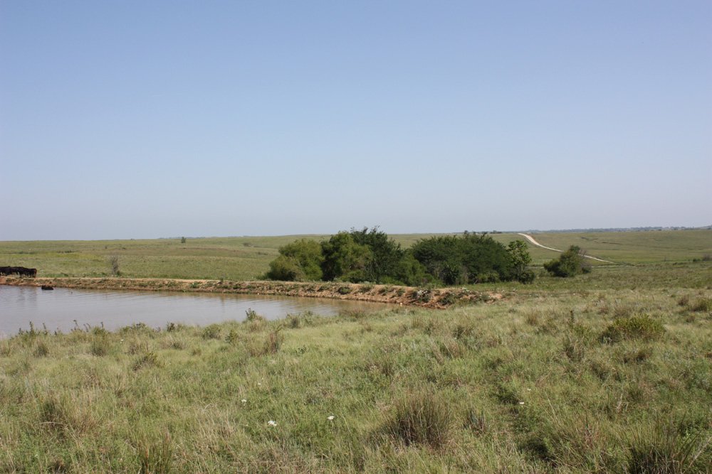 Property photo 61 - Land Auction - 480 Acres in 10 Tracts, Native Grassland, Tillable Cropland