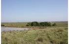 Property photo 61 - Land Auction - 480 Acres in 10 Tracts, Native Grassland, Tillable Cropland
