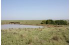 Property photo 44 - Land Auction - 480 Acres in 10 Tracts, Native Grassland, Tillable Cropland
