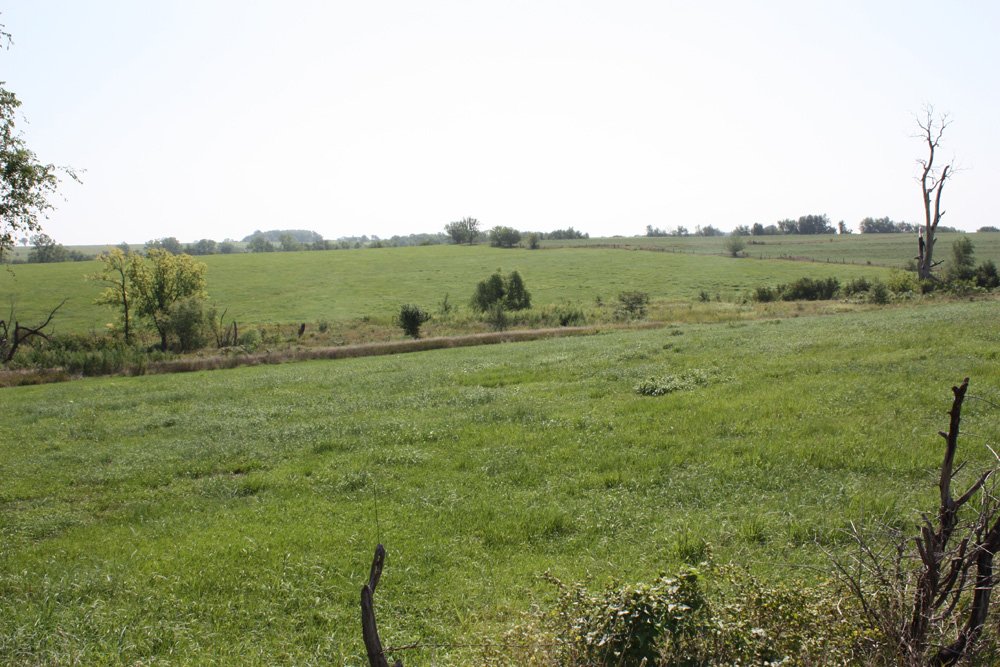 Property photo 26 - Land Auction - 480 Acres in 10 Tracts, Native Grassland, Tillable Cropland
