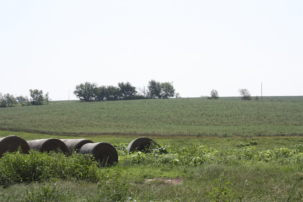 Property photo 17 - Land Auction - 480 Acres in 10 Tracts, Native Grassland, Tillable Cropland