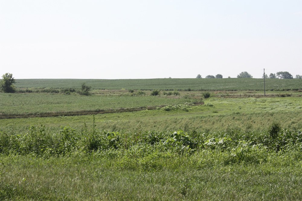 Property photo 11 - Land Auction - 480 Acres in 10 Tracts, Native Grassland, Tillable Cropland