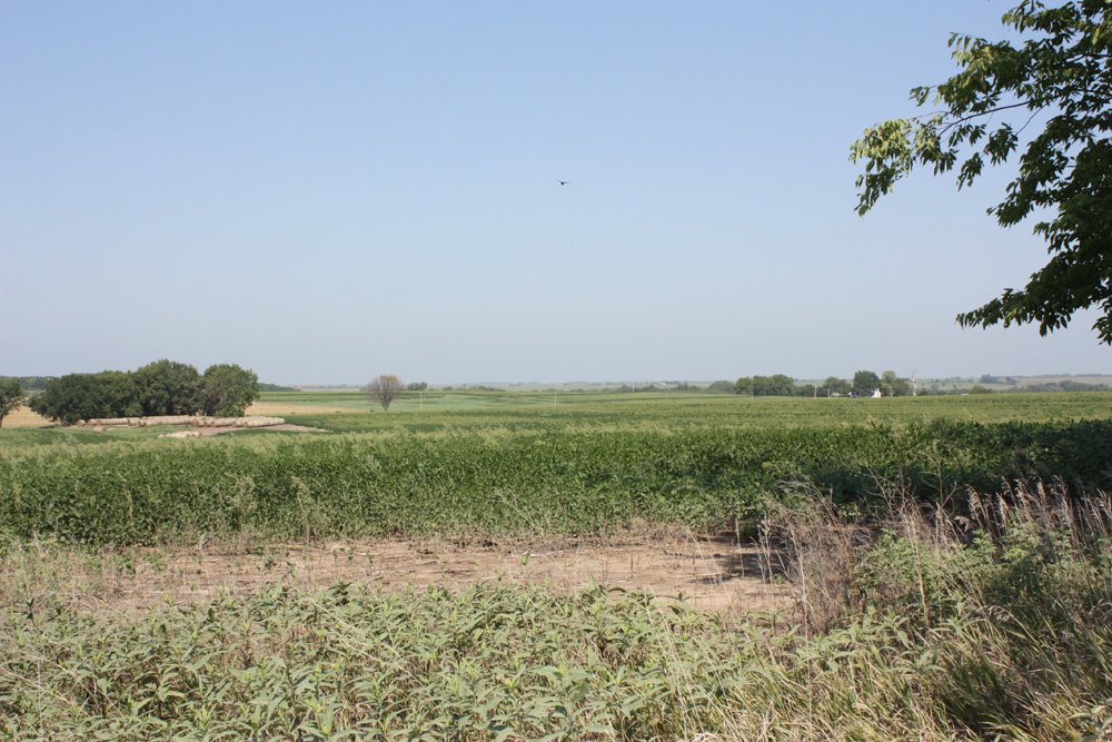 Property photo 28 - Land Auction - 480 Acres in 10 Tracts, Native Grassland, Tillable Cropland
