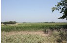 Property photo 28 - Land Auction - 480 Acres in 10 Tracts, Native Grassland, Tillable Cropland