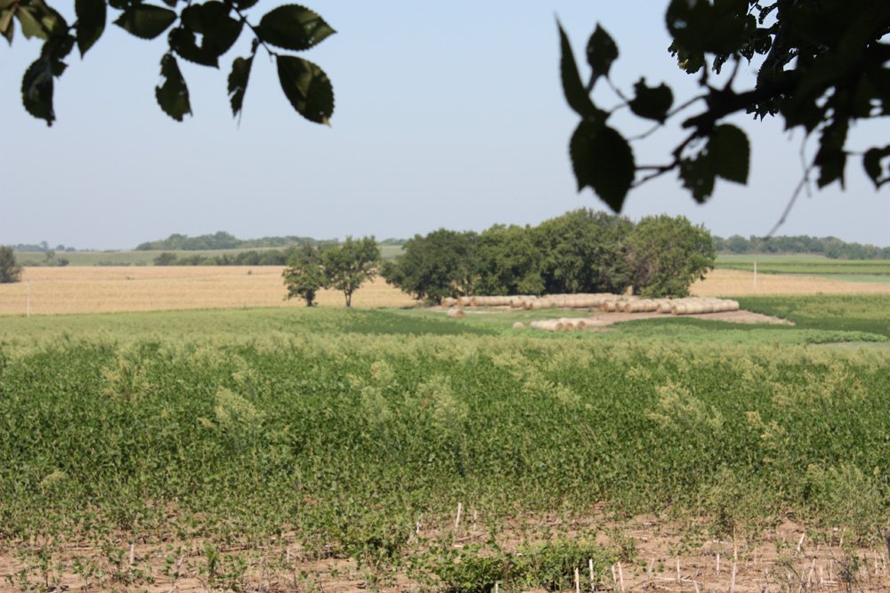 Property photo 73 - Land Auction - 480 Acres in 10 Tracts, Native Grassland, Tillable Cropland