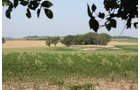 Property photo 73 - Land Auction - 480 Acres in 10 Tracts, Native Grassland, Tillable Cropland