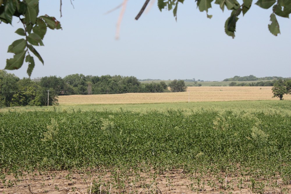 Property photo 64 - Land Auction - 480 Acres in 10 Tracts, Native Grassland, Tillable Cropland