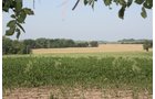 Property photo 64 - Land Auction - 480 Acres in 10 Tracts, Native Grassland, Tillable Cropland