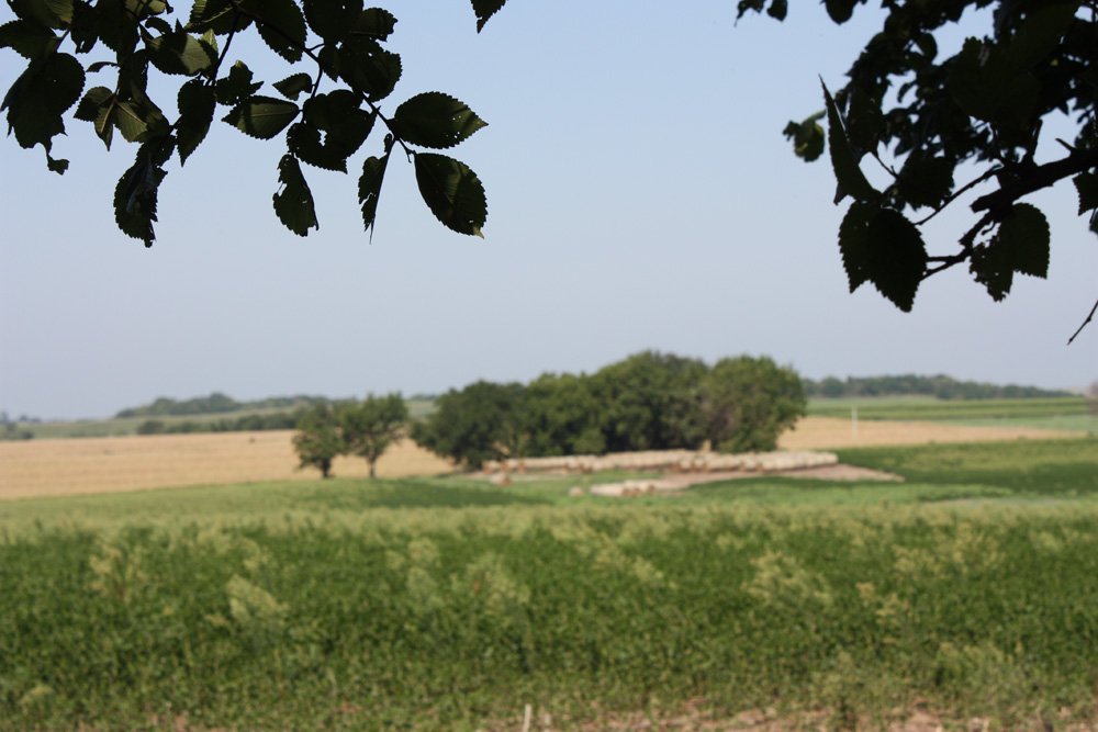 Property photo 15 - Land Auction - 480 Acres in 10 Tracts, Native Grassland, Tillable Cropland