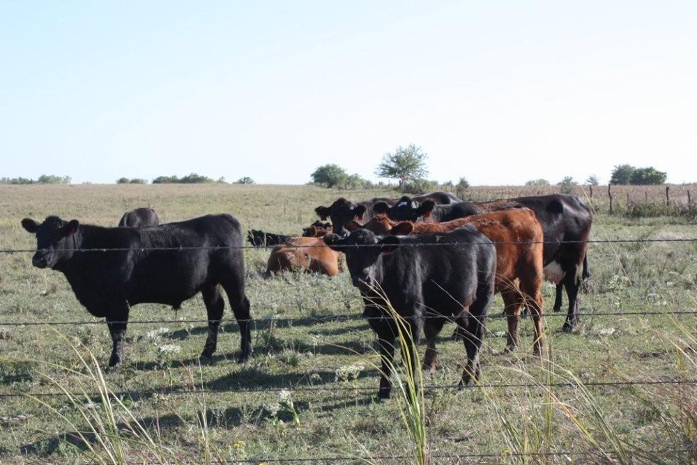 Property photo 58 - Land Auction - 480 Acres in 10 Tracts, Native Grassland, Tillable Cropland