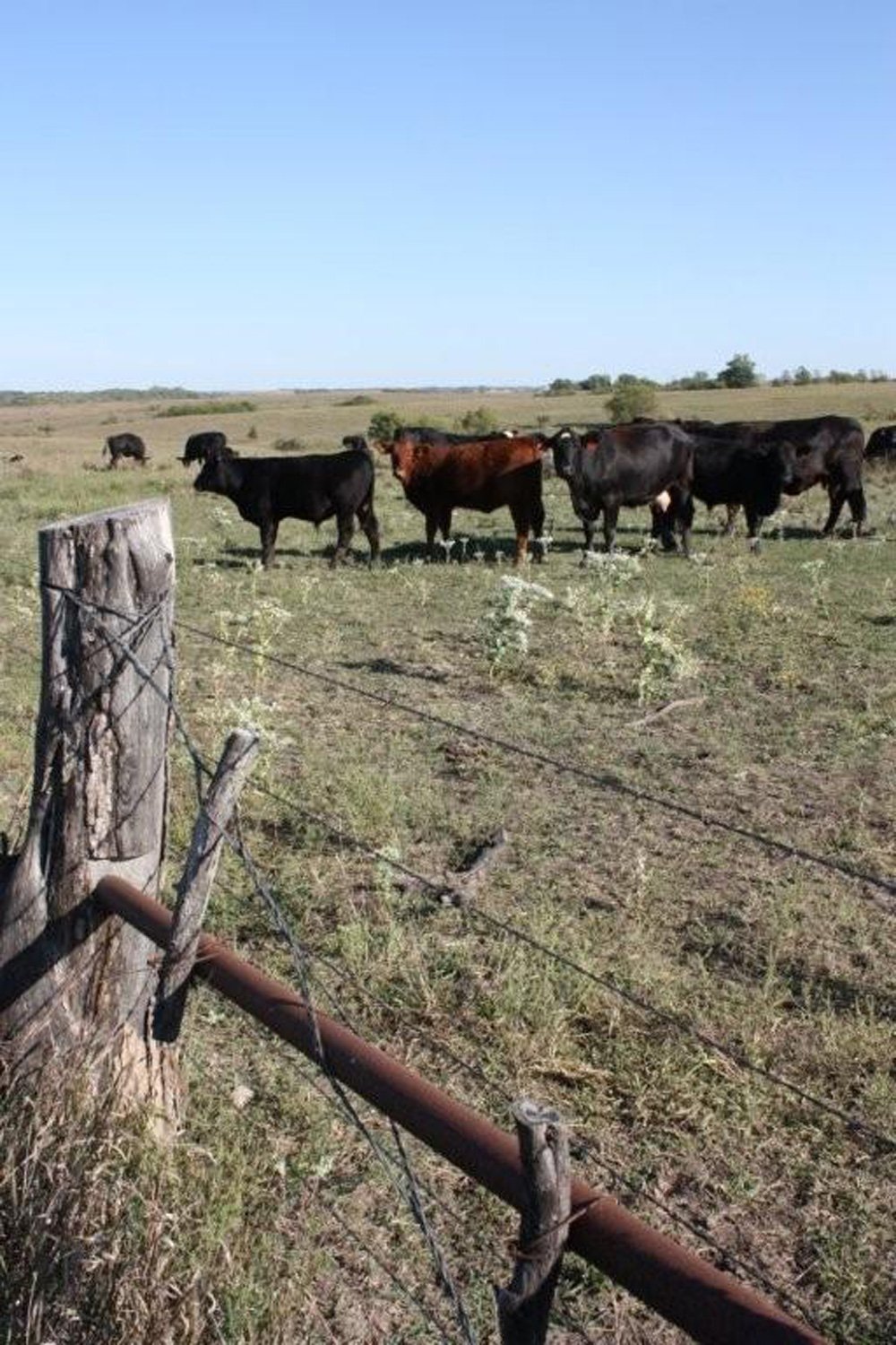 Property photo 72 - Land Auction - 480 Acres in 10 Tracts, Native Grassland, Tillable Cropland
