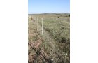 Property photo 76 - Land Auction - 480 Acres in 10 Tracts, Native Grassland, Tillable Cropland