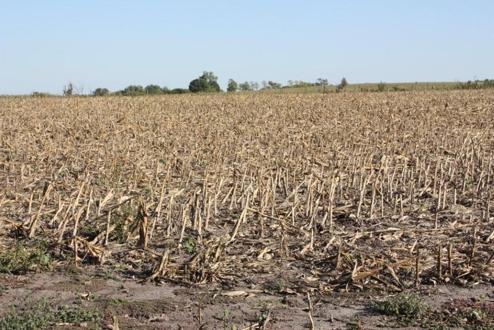 Property photo 18 - Land Auction - 480 Acres in 10 Tracts, Native Grassland, Tillable Cropland