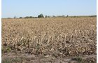 Property photo 18 - Land Auction - 480 Acres in 10 Tracts, Native Grassland, Tillable Cropland
