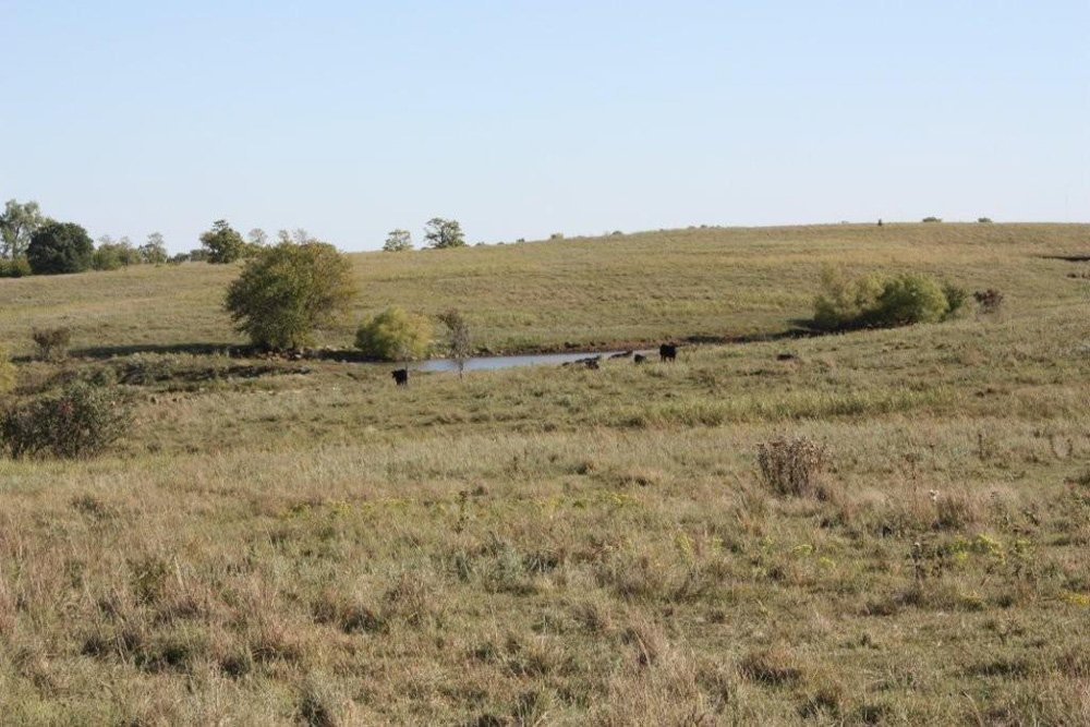 Property photo 37 - Land Auction - 480 Acres in 10 Tracts, Native Grassland, Tillable Cropland