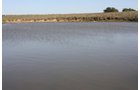Property photo 32 - Land Auction - 480 Acres in 10 Tracts, Native Grassland, Tillable Cropland