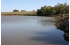 Property photo 53 - Land Auction - 480 Acres in 10 Tracts, Native Grassland, Tillable Cropland