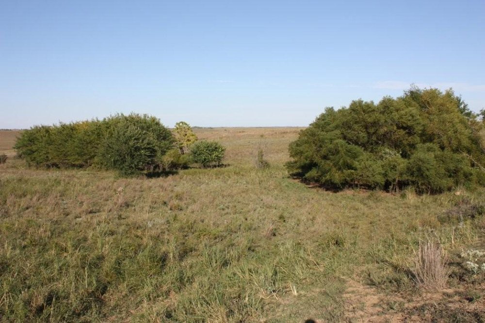 Property photo 39 - Land Auction - 480 Acres in 10 Tracts, Native Grassland, Tillable Cropland