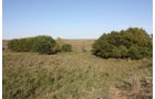 Property photo 39 - Land Auction - 480 Acres in 10 Tracts, Native Grassland, Tillable Cropland