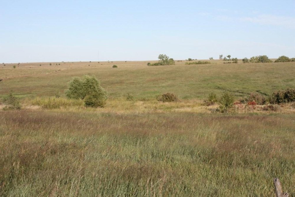 Property photo 51 - Land Auction - 480 Acres in 10 Tracts, Native Grassland, Tillable Cropland